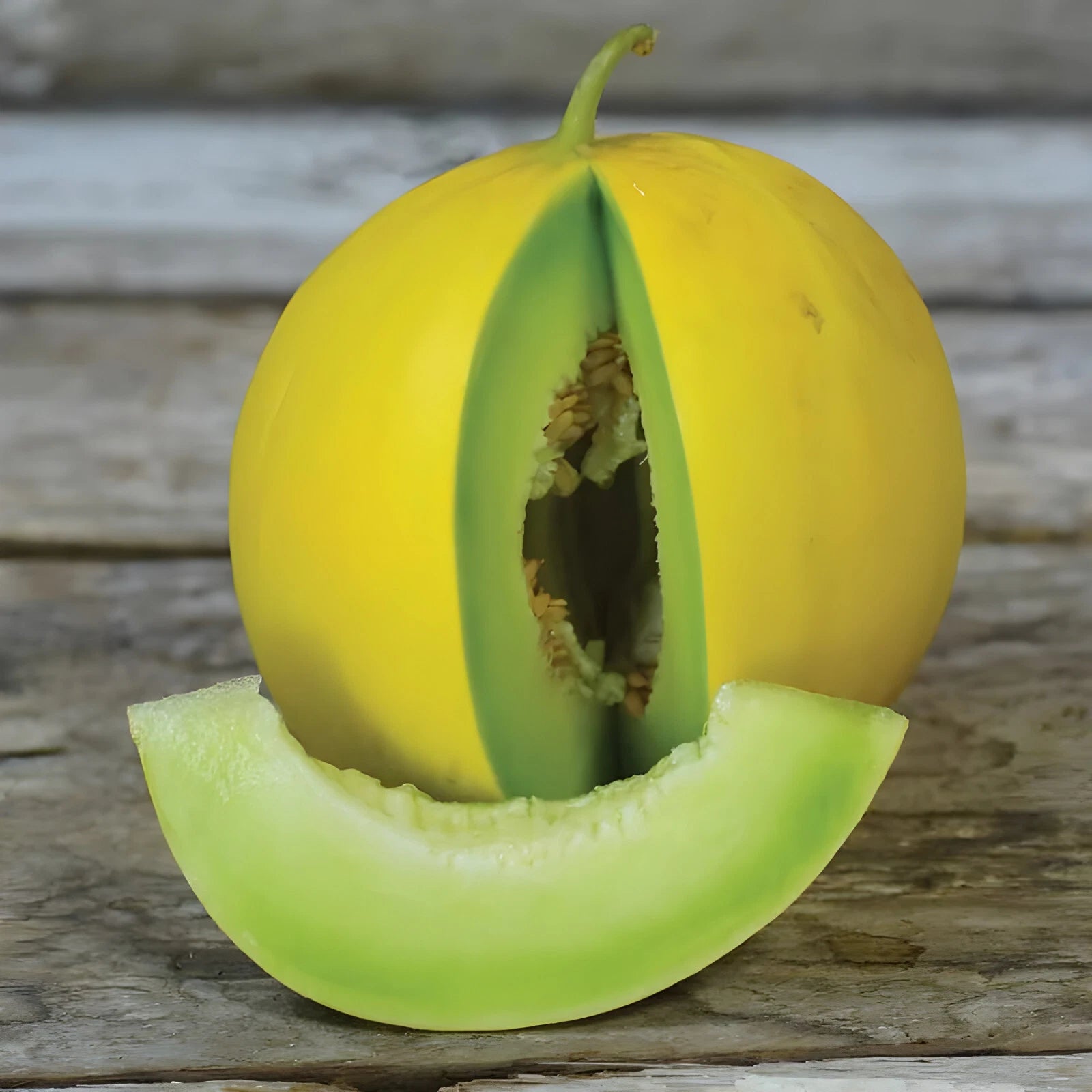 Golden Honeymoon Melon Seeds - Super Sweet - Yellow Rind Green Flesh heirloom non-gmo seeds