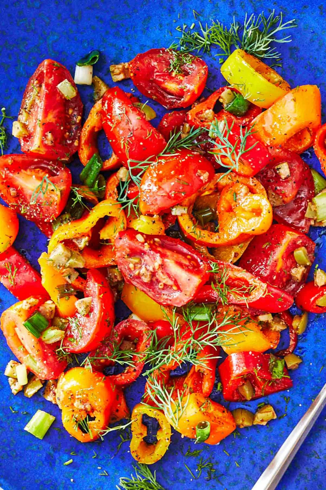 Rainbow Sweet Pepper Seeds FLORIDA GROWN FANTASTIC FLAVOR – Heirloom, Non-GMO, High Germination Organic Garden Seeds