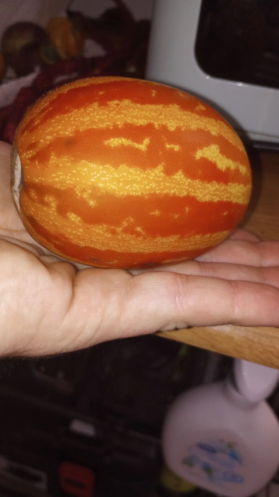 Exotic Sweetness Melon Seeds Genuine – Heirloom, Non-GMO, High Germination Organic Garden Seeds