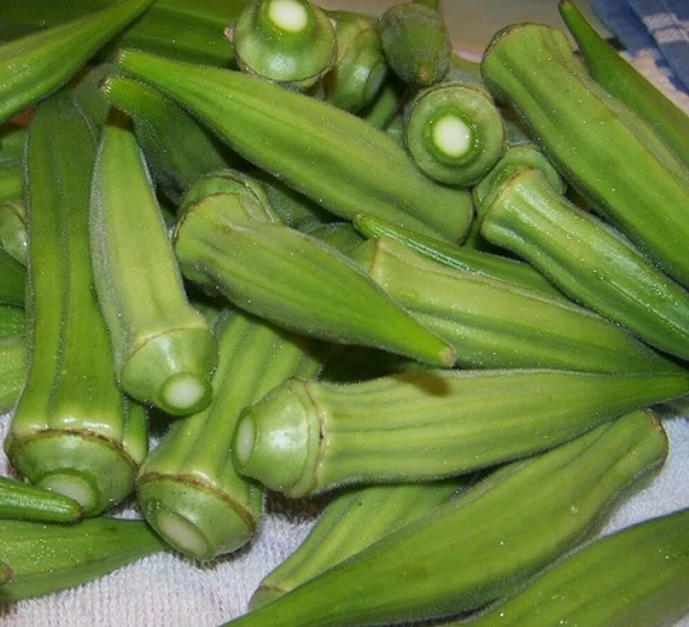 OKRA CLEMSON SPINELESS SHIPPING & TRACKING Seeds – Heirloom, Non-GMO, High Germination Organic Garden Seeds