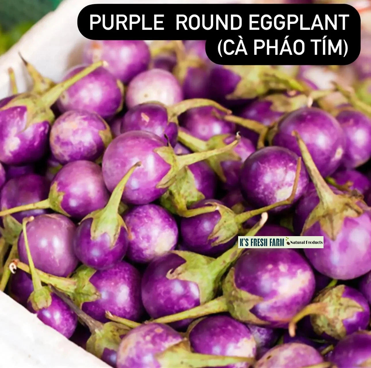 Eggplant Seeds White Purple Round Long Purple Green Thai Cà Pháo Cà tím Cà dĩa – Heirloom, Non-GMO, High Germination Organic Garden Seeds