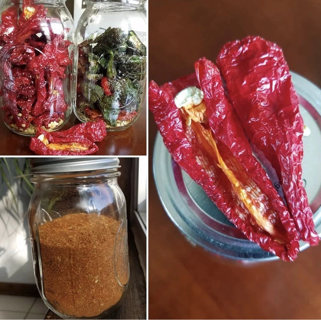 Leutschauer Paprika Pepper Seeds Seeds Shipping – Heirloom, Non-GMO, High Germination Organic Garden Seeds