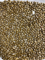 Soursop Seeds Graviola Annona Muricata Guanabana heirloom non-gmo seeds