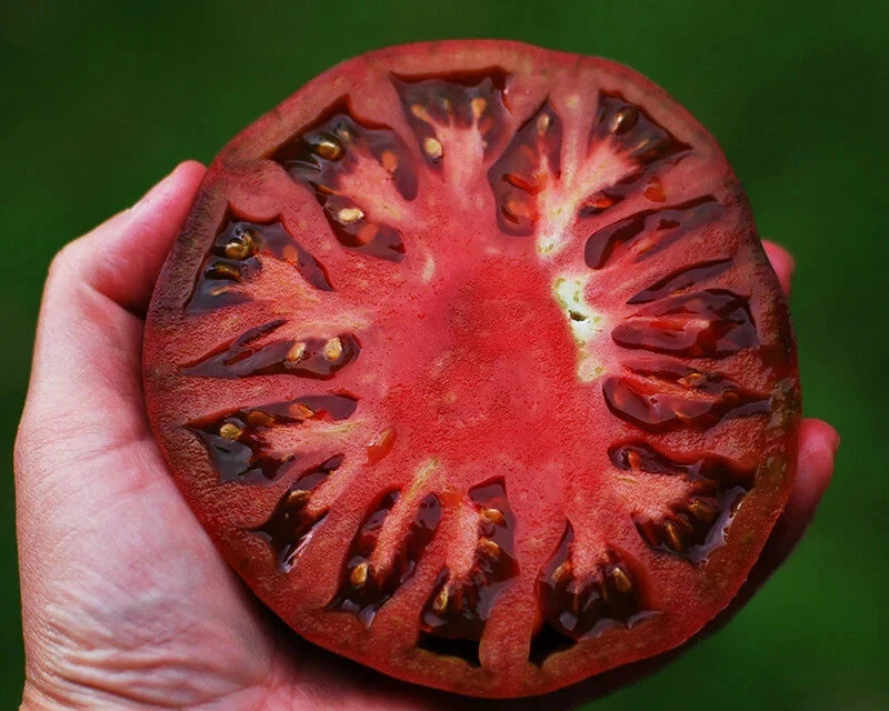 Cherokee Purple Tomato Seeds Slicing Garden Plant – Heirloom, Non-GMO, High Germination Organic Garden Seeds