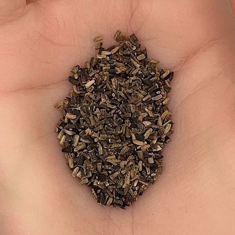 Chicory Seeds Wildflower Drought Tolerant Pollinator Shipping Seeds – Heirloom, Non-GMO, High Germination Organic Garden Seeds