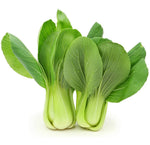 Shanghai Bok Choy Seeds Green Stem Pak Choi Cabbage BIG heirloom non-gmo seeds