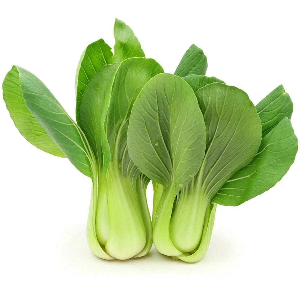 Shanghai Bok Choy Seeds Green Stem Pak Choi Cabbage BIG heirloom non-gmo seeds