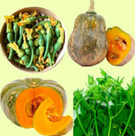 PUMPKIN SEEDS Flowers Katora Round Super Squash Buds-BÍ ĐỎ Nụ Đậu Tròn Siêu Ngọn heirloom non-gmo seeds