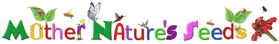 Cucumber Seeds BURPLESS BUSH SLICER F1 Containers Vine Seeds – Heirloom, Non-GMO, High Germination Organic Garden Seeds