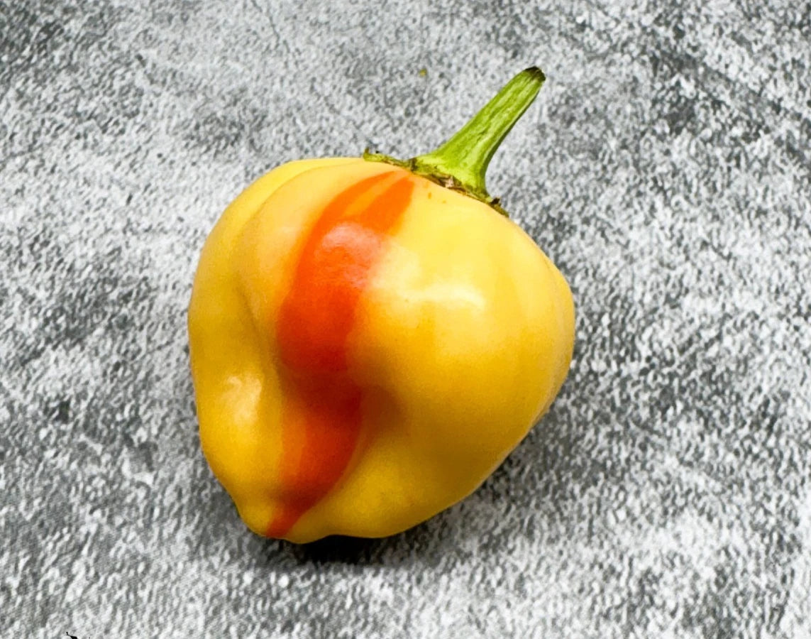 Peppapeach Stripey Pepper Seeds heirloom non-gmo seeds