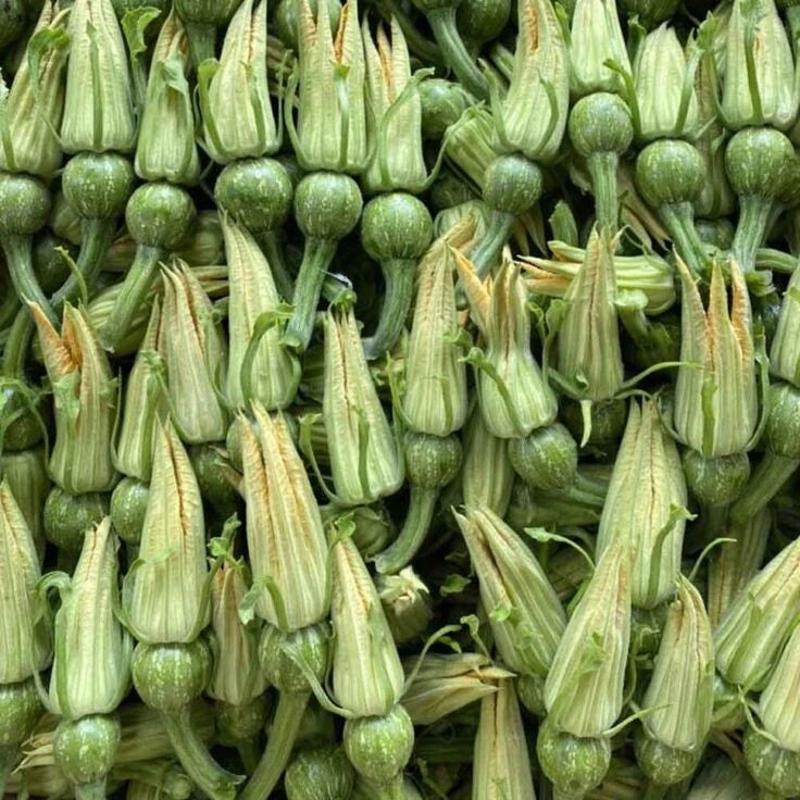 FLOWERS AND BABY PUMPKIN SEEDS HẠt GIỐNG BÍ ĐỎ NỤ GERMINATION – Heirloom, Non-GMO, High Germination Organic Garden Seeds