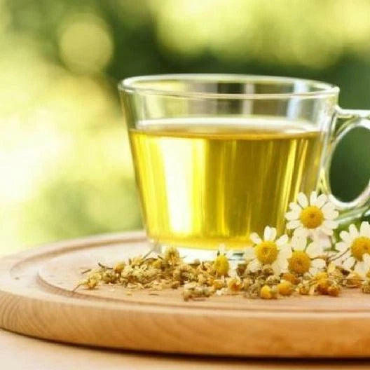 Chamomile GERMAN Herb Groundcover Medicinal Tea Fragrant Seeds – Heirloom, Non-GMO, High Germination Organic Garden Seeds