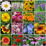All Perennial Wildflower Mix LB Species Flowers Easy To Grow heirloom non-GMO seeds