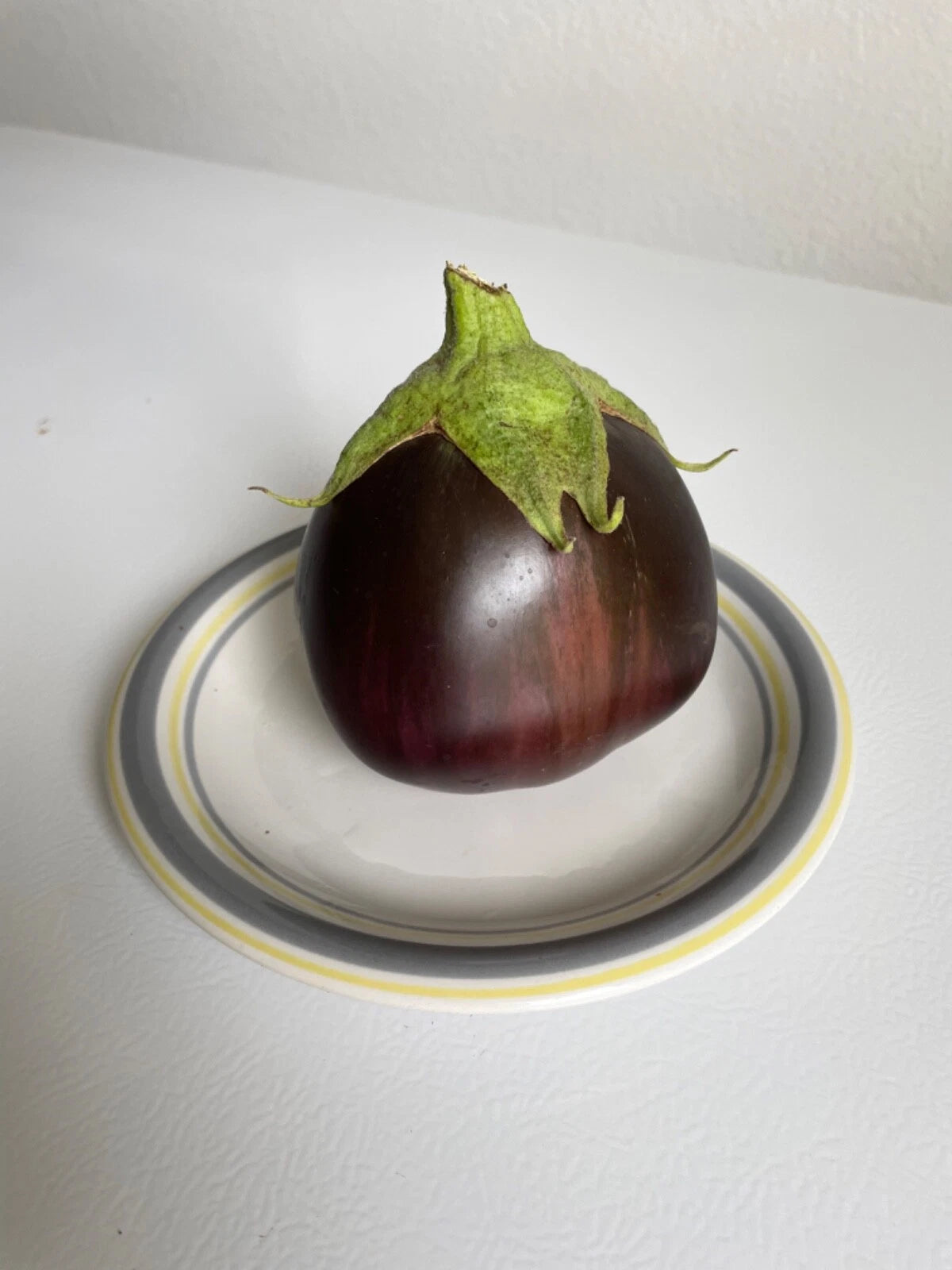 Aswad Eggplant Seeds Large Fruits – Heirloom, Non-GMO, High Germination Organic Garden Seeds