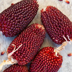 RED STRAWBERRY POPCORN SEEDS HARVEST FOR GARDENS heirloom non-gmo seeds