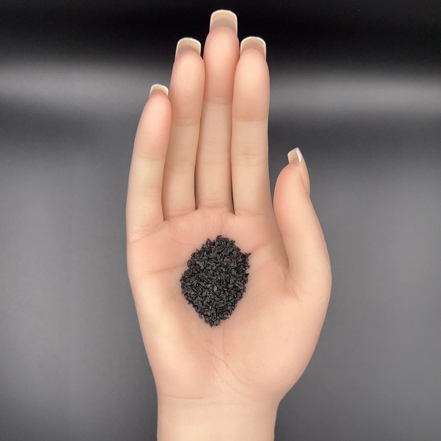 Chives Garlic Seeds Edible Herb Mild Garlic Flavor Shipping – Heirloom, Non-GMO, High Germination Organic Garden Seeds