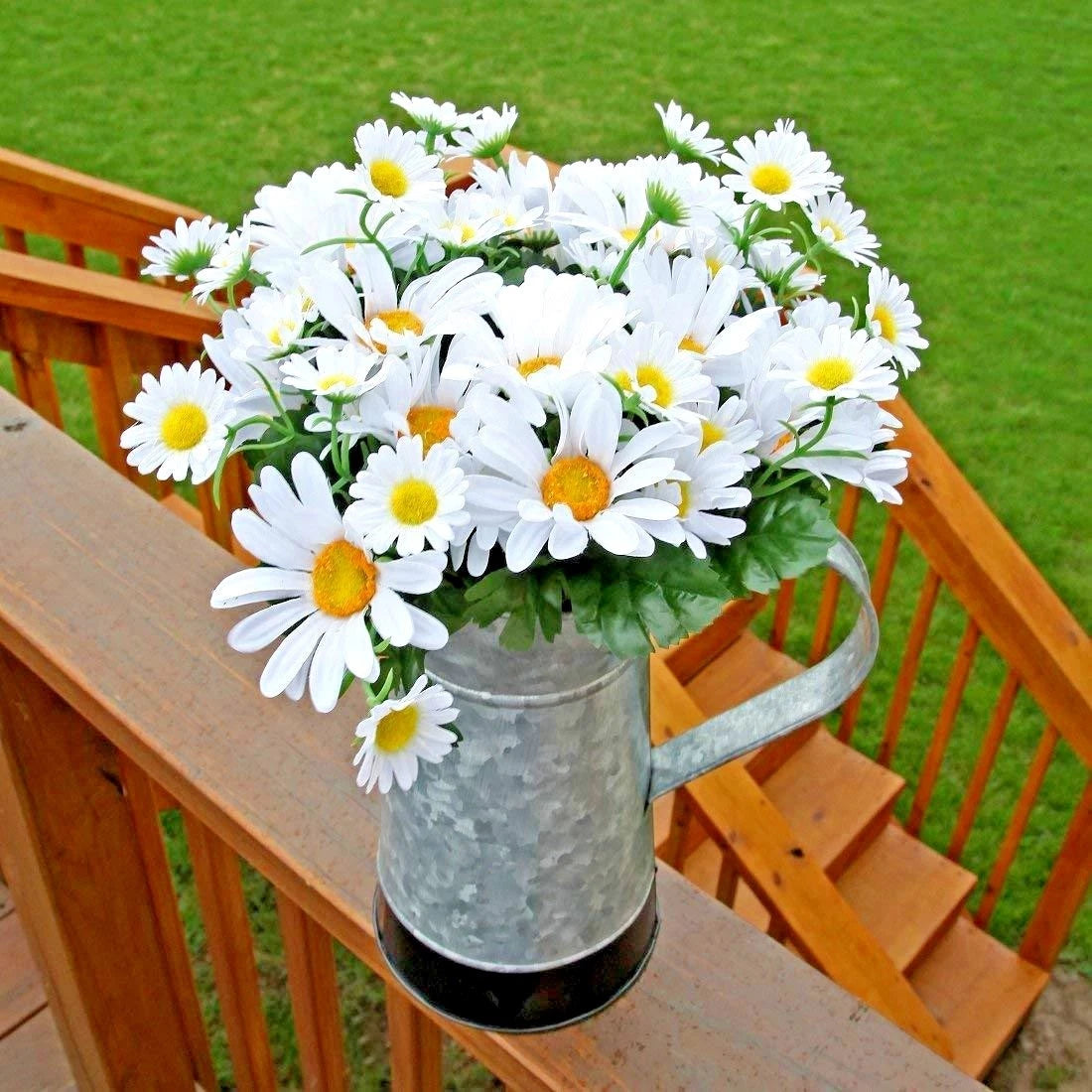 SILVER PRINCESS Seeds Dwarf Shasta Daisy Cut Flowers Container Garden Easy – Heirloom, Non-GMO, High Germination Organic Garden Seeds