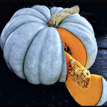 Blue Pumpkin Seeds Jarradale Queensland Cinderella Doll RARE Shipping heirloom non-GMO seeds