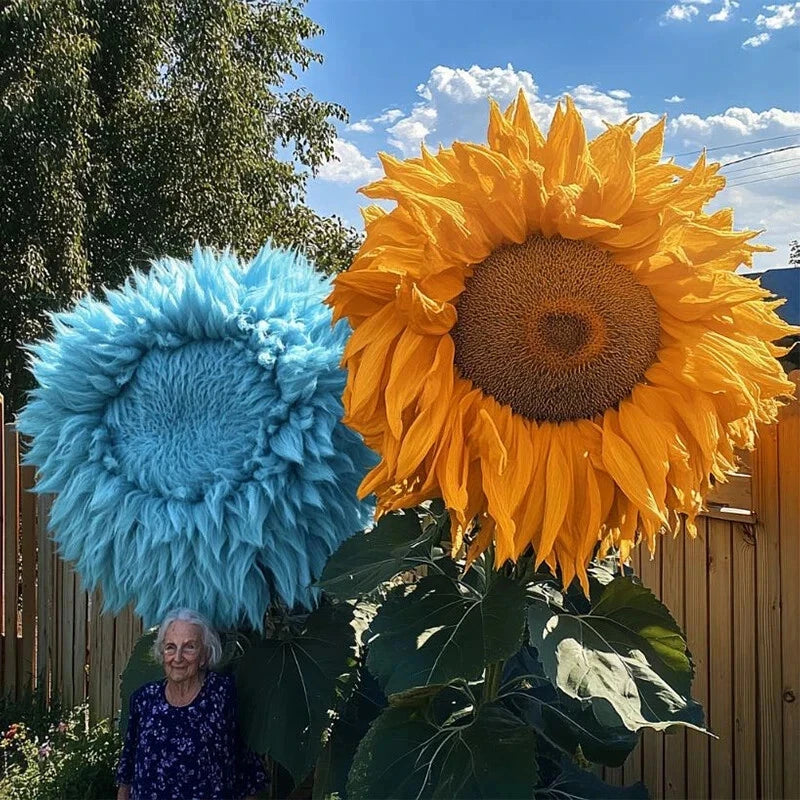 Rare Yellow & Blue Mixed Enchanting Giant Teddy Bear Sunflower Seeds Helianthus annuus heirloom non-gmo seeds