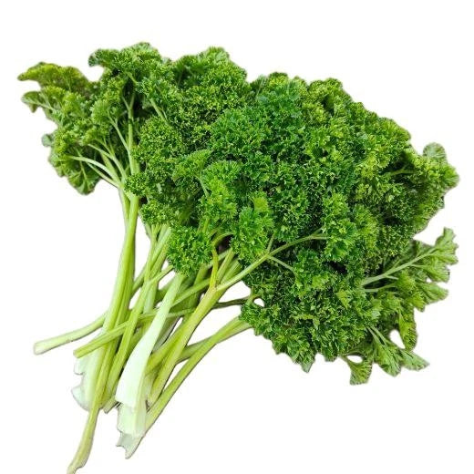 Forest Green Parsley Seeds Shipping heirloom non-gmo seeds
