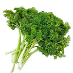 Forest Green Parsley Seeds Shipping heirloom non-gmo seeds