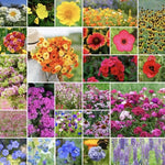 Flower Seed Mix Varieties Perennial Annual heirloom non-GMO seeds