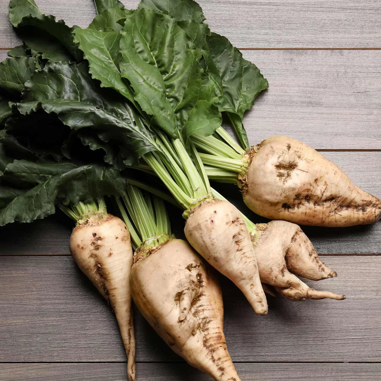 SUGAR BEET SEEDS FOR GARDENS TASTE VERY GOOD – Heirloom, Non-GMO, High Germination Organic Garden Seeds