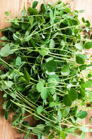 Austrian Winter Pea Seeds Cold Hardy Shelling Snap Peas Seed Shipping – Heirloom, Non-GMO, High Germination Organic Garden Seeds