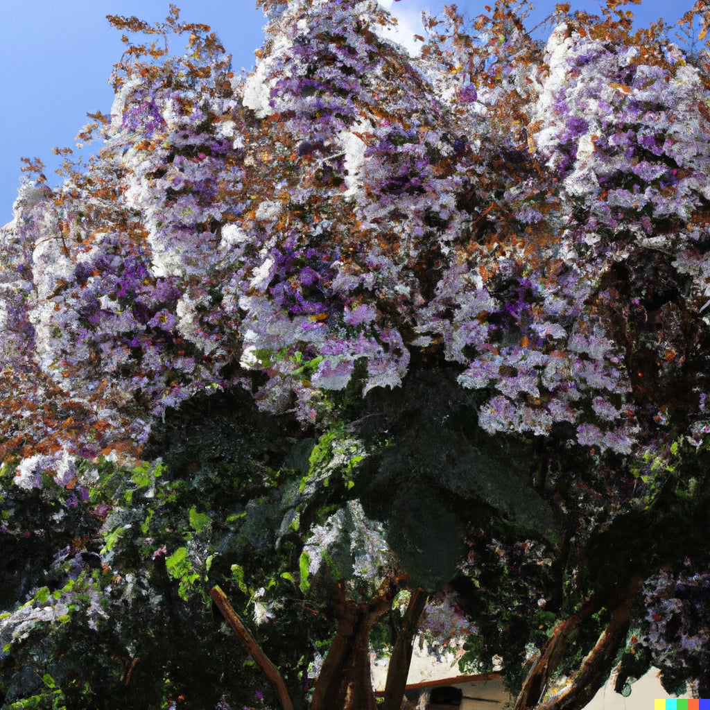 Royal Empress Tree Seeds Paulownia tomentosa Purple Flowers Growing heirloom non-gmo seeds