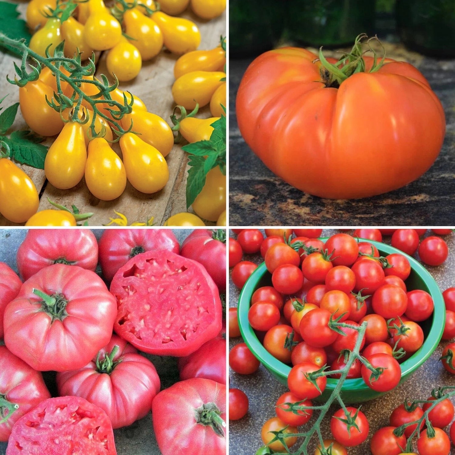 Cherokee Purple Tomato Seeds – Heirloom, Non-GMO, High Germination Organic Garden Seeds