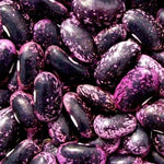 Scarlet Runner Bean Seeds for Planting NON-GMO Fresh Garden Seeds for Planting – Heirloom seeds for planting in home garden – heirloom, non-GMO variety
