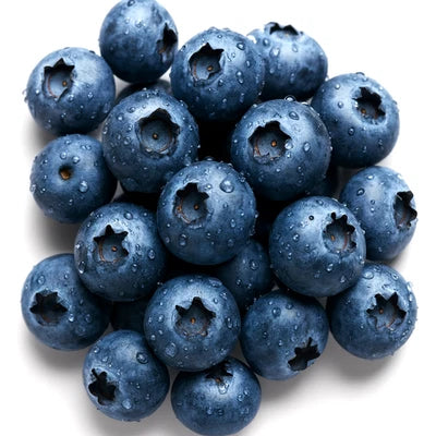 EUROPEAN BLUEBERRY SEEDS BILBERRY RARE AUTUMN LOW BUSH SWEET – Heirloom, Non-GMO, Fragrant, Climbing Annual seeds for planting in home garden – heirloom, non-GMO variety