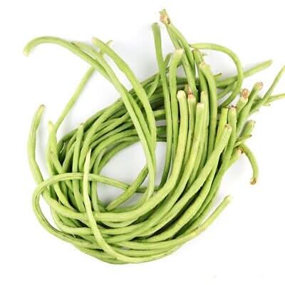 Yard Long Bean Vigna unguiculata seeds for garden planting