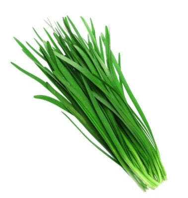 Chinese Chives Seeds for Planting, Chinese Leek Seeds for Planting – Heirloom, Non-GMO seeds for planting in home garden – heirloom, non-GMO variety