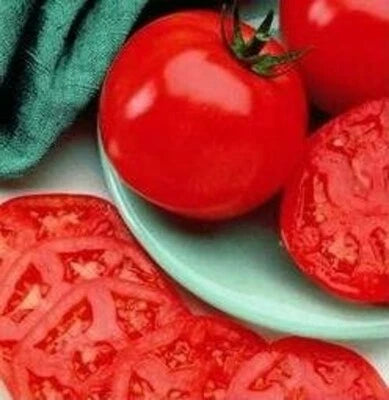 Tomato Manalucie Lycopersicon Esculentum Heat Tolerant Garden Plant – Heirloom, Non-GMO seeds for planting in home garden – heirloom, non-GMO variety