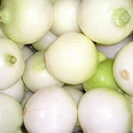 pearl WAX PEARL ONION small sweet greens Garden white yellow vegetable – Heirloom, Non-GMO, Fragrant, Climbing Annual seeds for planting in home garden – heirloom, non-GMO variety