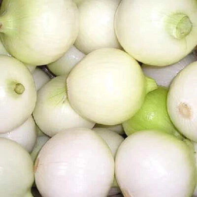 pearl WAX PEARL ONION small sweet greens Garden white yellow vegetable – Heirloom, Non-GMO, Fragrant, Climbing Annual seeds for planting in home garden – heirloom, non-GMO variety