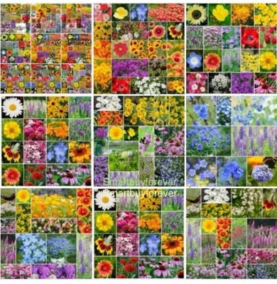 AnnualPerennial Wildflower Mix Seeds for Planting, Bulk -Non-GMO beautiful flowers USA – Heirloom seeds for planting in home garden – heirloom, non-GMO variety