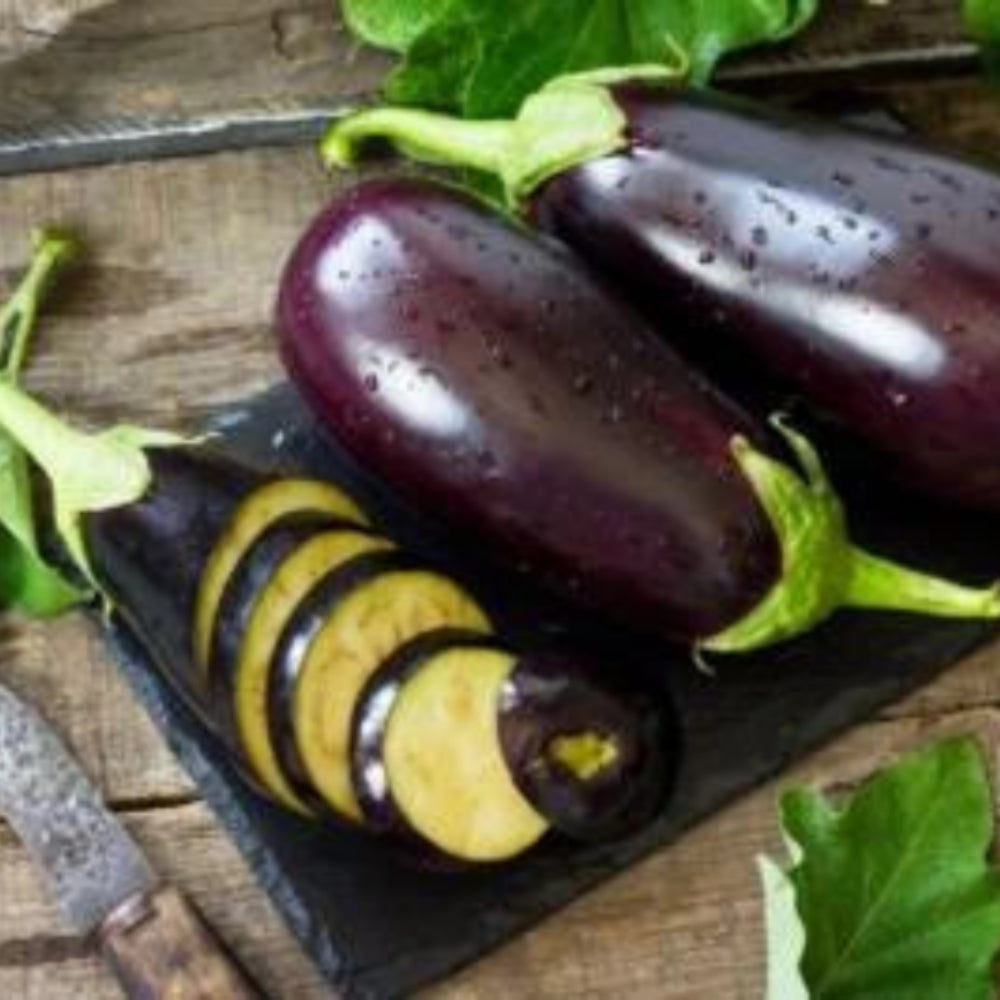 Black Beauty Eggplant Fresh Heirloom Seeds for Planting Free Seeds for Planting wEvery Garden Order, Non-GMO seeds for planting in home garden – heirloom, non-GMO variety