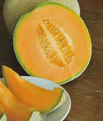 CANTALOUPE SEED, HALES BEST JUMBO, HEIRLOOM, NON GMO, , MELON, Non-GMO seeds for planting in home garden – heirloom, non-GMO variety