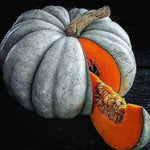 Jarrahdale Blue Pumpkin Seeds for Planting - Jarradale Queensland Cinderella Doll FRESH – Heirloom, Non-GMO seeds for planting in home garden – heirloom, non-GMO variety