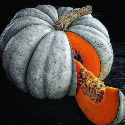Jarrahdale Blue Pumpkin Seeds for Planting - Jarradale Queensland Cinderella Doll FRESH – Heirloom, Non-GMO seeds for planting in home garden – heirloom, non-GMO variety