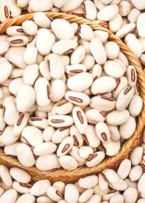 JACK BEAN SEEDS WonderSword (Canavalia ensiformis) Organic Stock – Heirloom, Non-GMO seeds for planting in home garden – heirloom, non-GMO variety