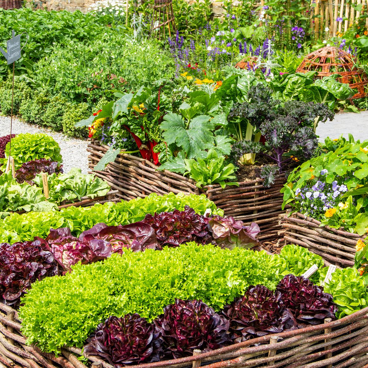 Alfresco Vegetable Seeds for Planting