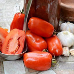 San Marzano Paste Tomato Seeds – Authentic Italian Tomato for Rich Sauce - Dharaseeds