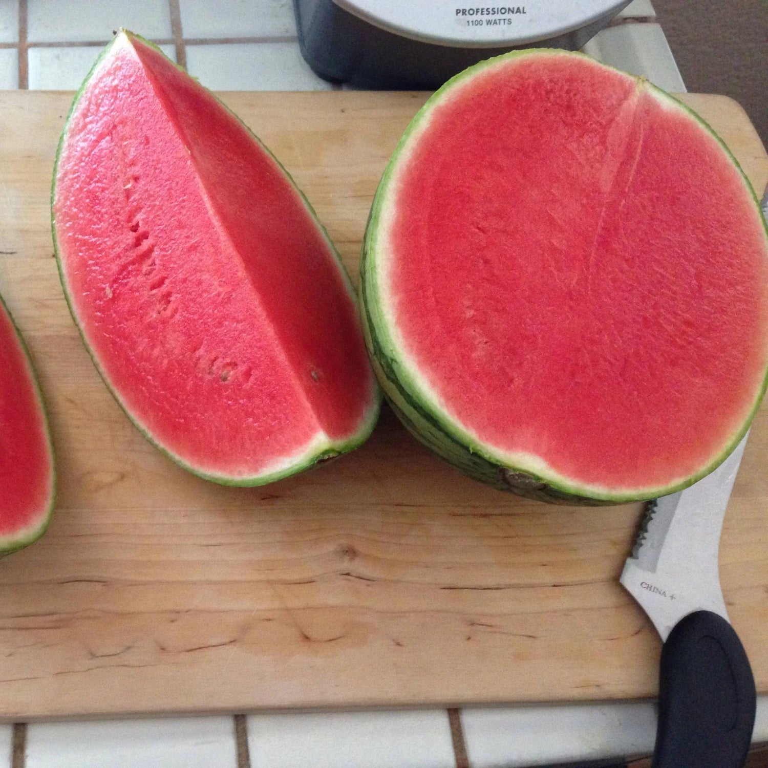 Seedless watermelon plant growing in summer garden