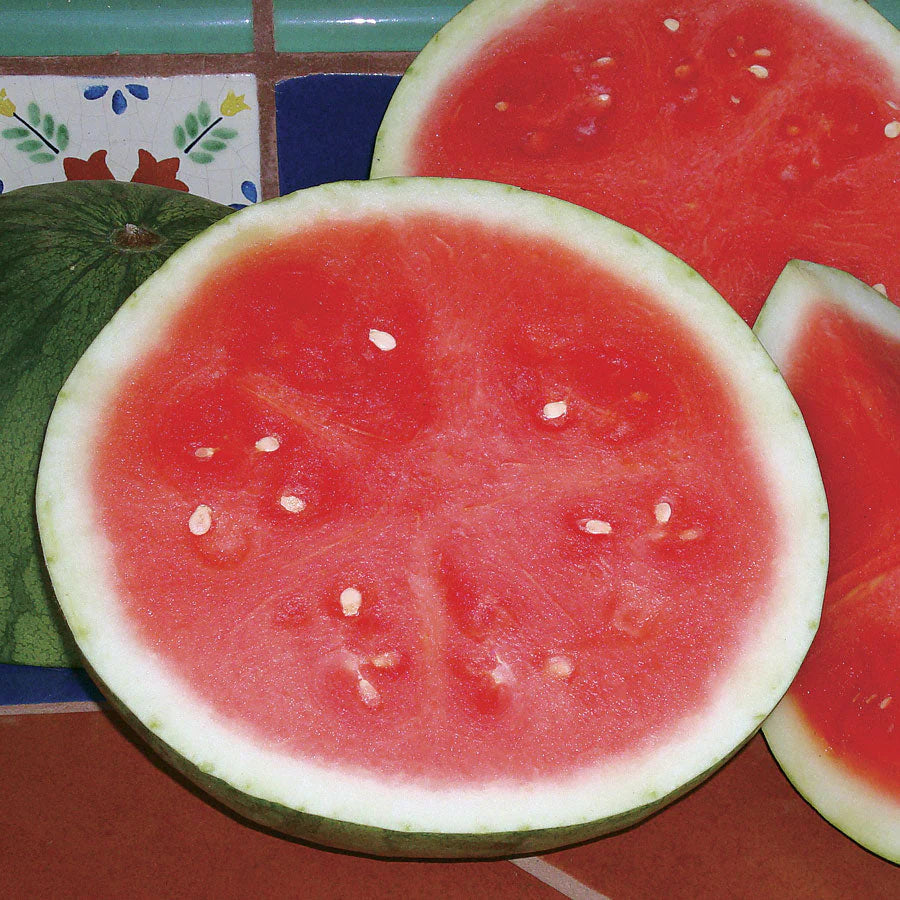 Seedless watermelon seeds for home garden planting