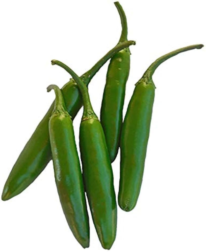 Serrano Tampiqueno hot pepper seeds (Capsicum annuum) – spicy chili plants - Dharaseeds