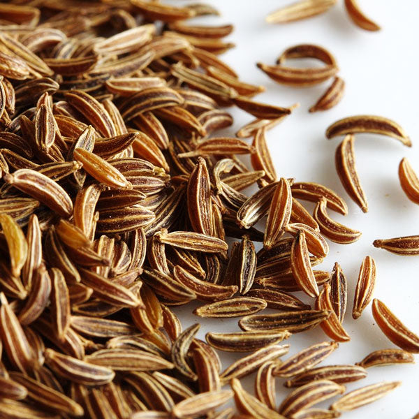  lush green caraway herb plants with feathery foliage
