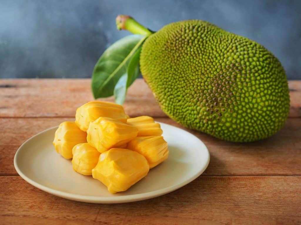 Jackfruit (Artocarpus heterophyllus)